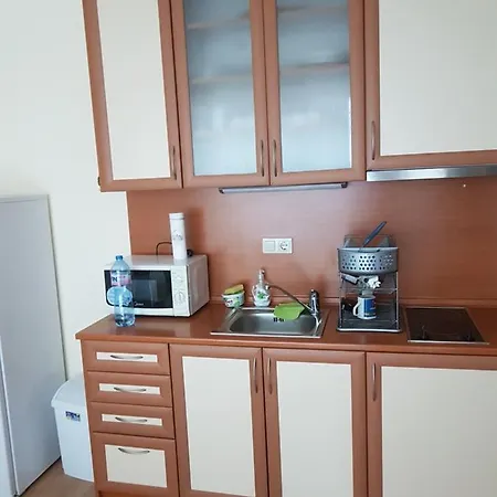 Лазаринка Стоянова Ravda